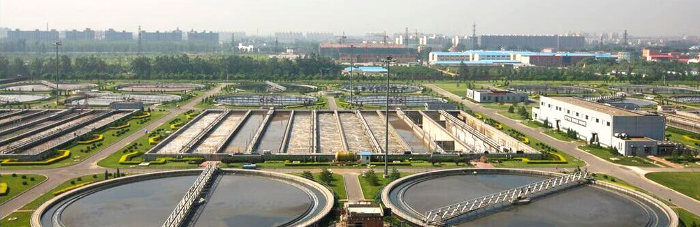 ���{�h��